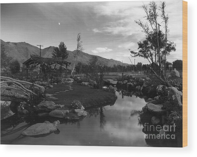Ansel Adams Wood Print featuring the photograph Pool in pleasure park, Manzanar Relocation Center, California, 1943 by Ansel Adams