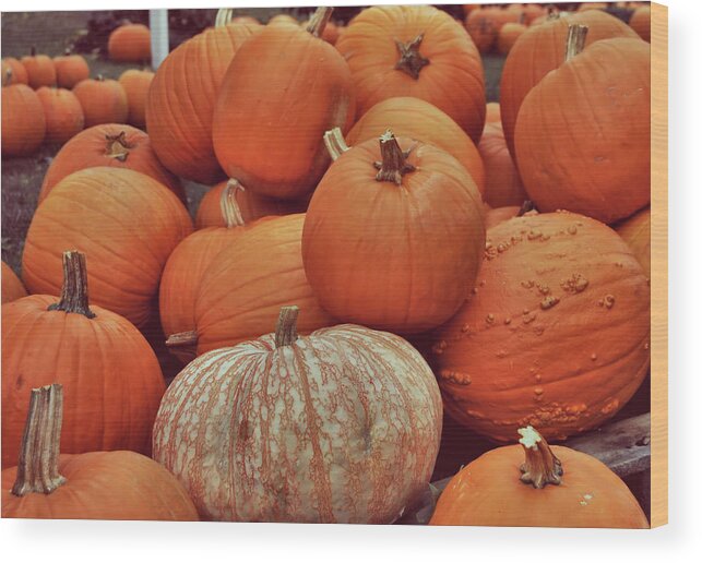 All Wood Print featuring the photograph Pumpkin Pile by JAMART Photography