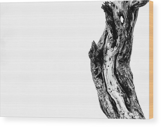 Black And White Wood Print featuring the photograph Reaching Up by Melisa Elliott