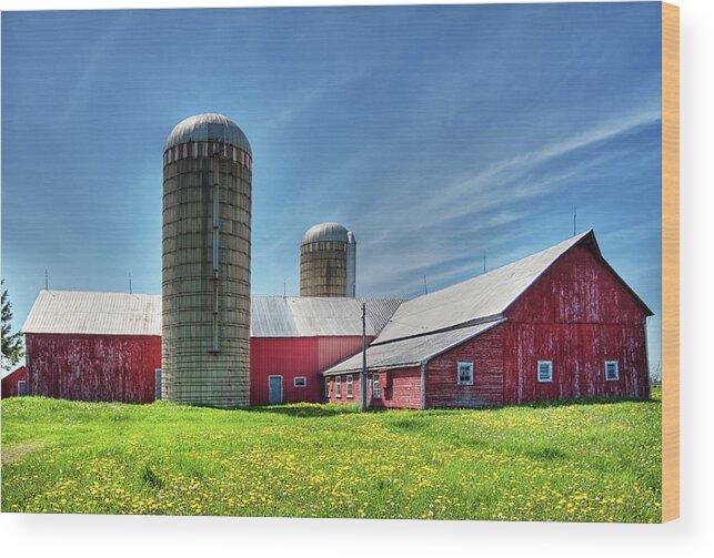 Barn Wood Print featuring the photograph Red Barn in Ontario, Canada by Tatiana Travelways