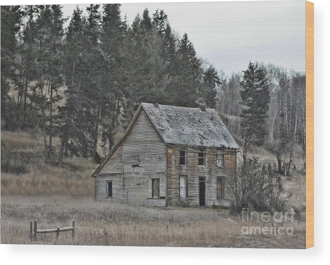 Rest Stop Wood Print featuring the photograph Rest Stop by Vivian Martin