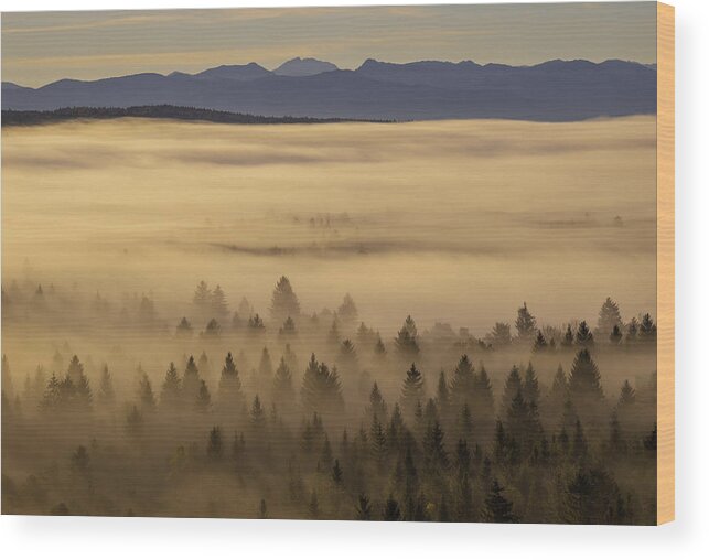 Valley Wood Print featuring the photograph Right Before Sunrise by Norbert Maier