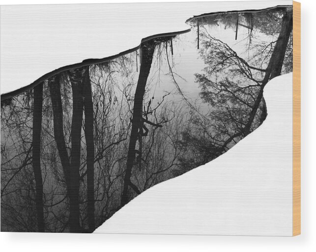 Landscape Wood Print featuring the photograph Riverside by Leif Westling