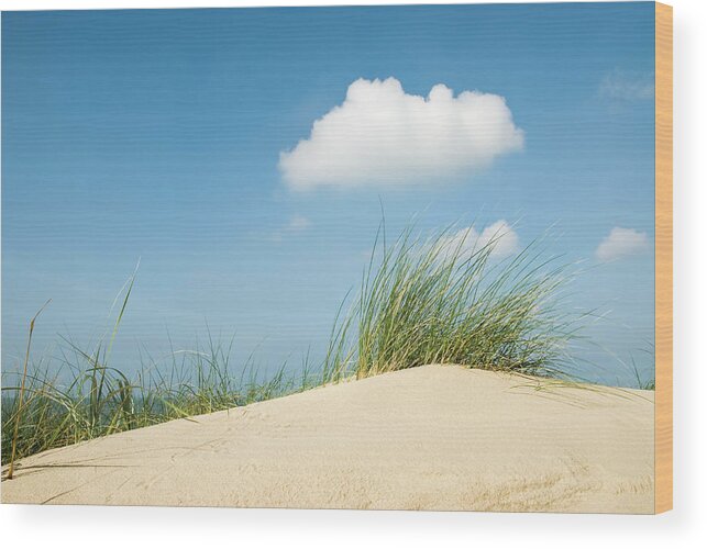 Grass Wood Print featuring the photograph Sand, Grass And Sky by Jacobh