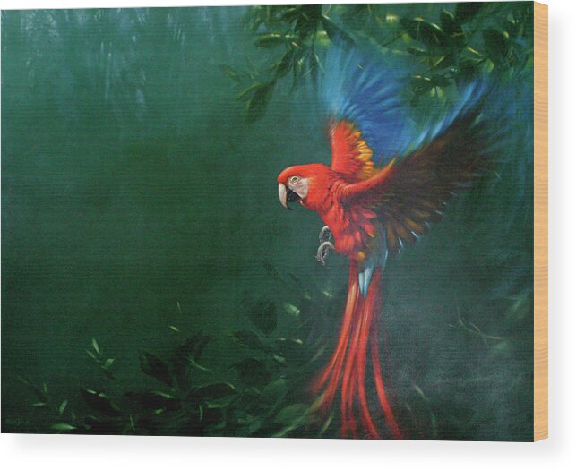 Macaw Wood Print featuring the photograph Scarlet Macaw 2 by Michael Jackson