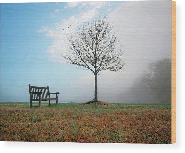 Tranquility Wood Print featuring the photograph Season Of Change by Sky Noir Photography By Bill Dickinson