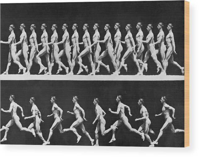 Art Wood Print featuring the photograph Sequential Frames Of Nude Man Walking by Bettmann