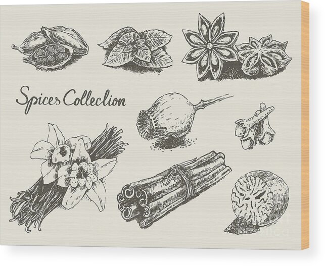 Engraving Wood Print featuring the digital art Set Hand Drawn Spices And Herb by Thedafkish