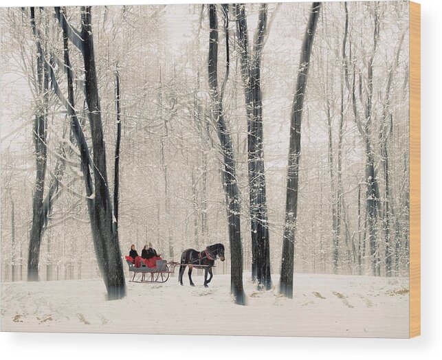 Winter Wood Print featuring the photograph Winter Sleigh Ride by Jessica Jenney