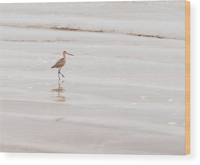 Animal Wood Print featuring the photograph Landscape Photography - Beach Scene by Amelia Pearn