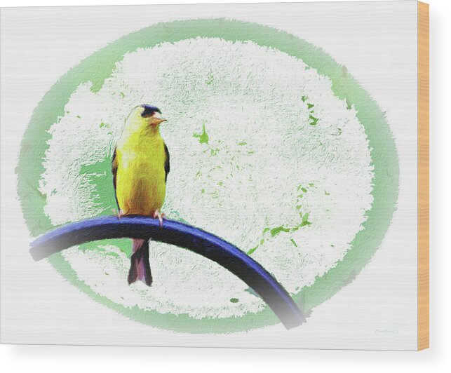 Gold Wood Print featuring the photograph So Goldfinch Too by Diane Lindon Coy