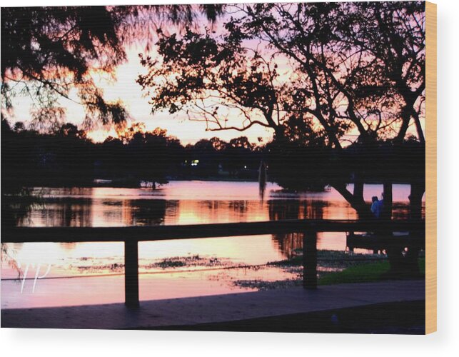 Water Trees Wood Print featuring the photograph Softy by Rene GrayMitchell