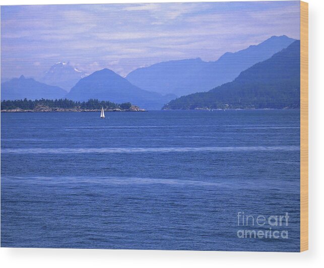 Sailboat Wood Print featuring the photograph Solitary Sailing by Ann Horn