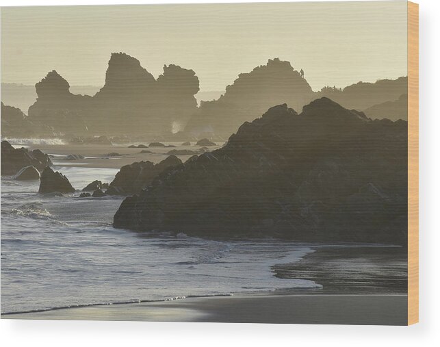 Africa Wood Print featuring the photograph South African Coast by Ben Foster