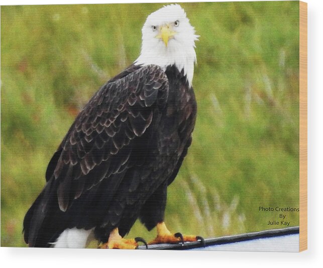 Eagle Wood Print featuring the photograph Standing proud by Julie Clements