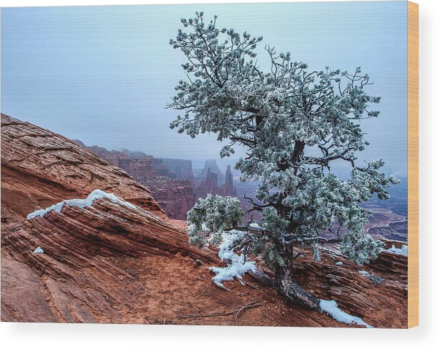 Canyonlands Np Snow Storm Desert Marlboro Point Utah First Snow Red Rocks Landscape Overlook Mountain Cliffs Wood Print featuring the photograph Stormy Overlook by Verdon