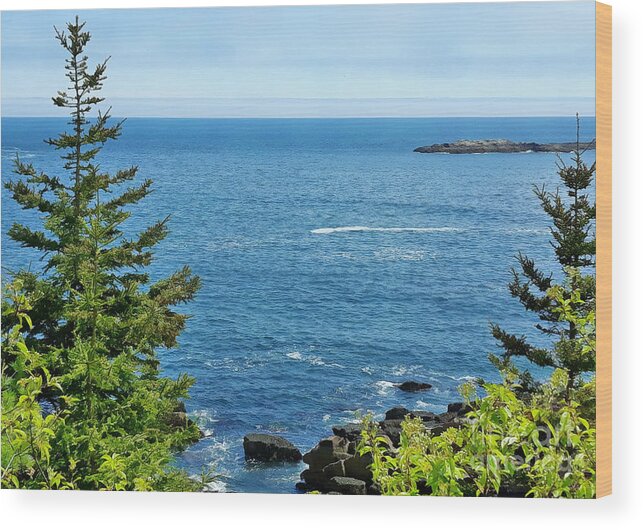 Acadia National Park Wood Print featuring the mixed media Summer Sea Acadia by Tracy Ruckman