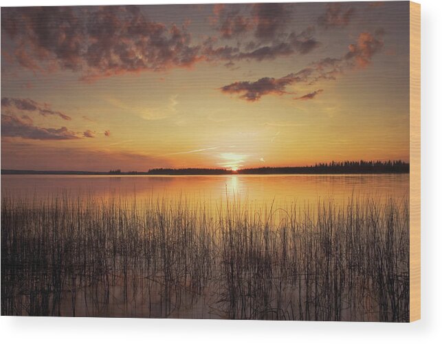 Tranquility Wood Print featuring the photograph Sunset On A Lake by Philippe Widling / Design Pics