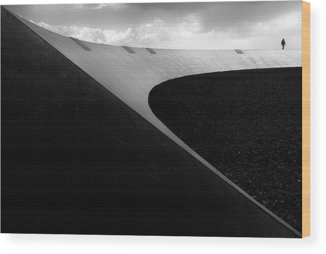 Silhouette Wood Print featuring the photograph T Walk by Marc Huybrighs