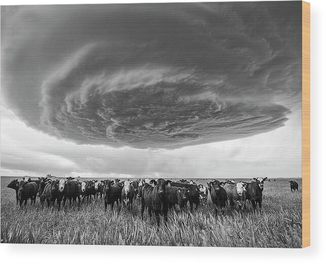 Weather Wood Print featuring the photograph Texas Panhandle Meso by Scott Cordell