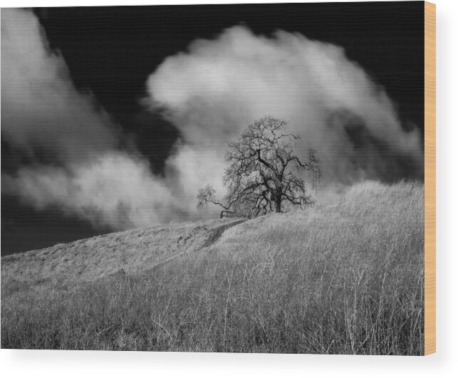 Panoramic Wood Print featuring the photograph The clouds and the tree by Alessandra RC