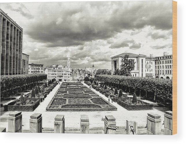 The Geometric Garden In Black And White Wood Print featuring the photograph The Geometric Garden in Black and White by Phyllis Taylor
