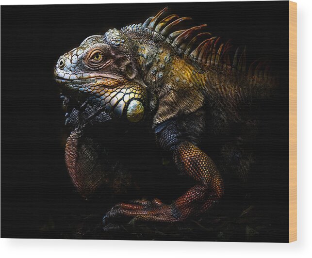 Lizard Wood Print featuring the photograph The Lost Evolution by Santiago Pascual Buye