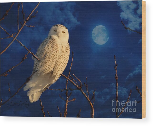 Snowy Owl Wood Print featuring the digital art The owl and the mystical moon by Heather King