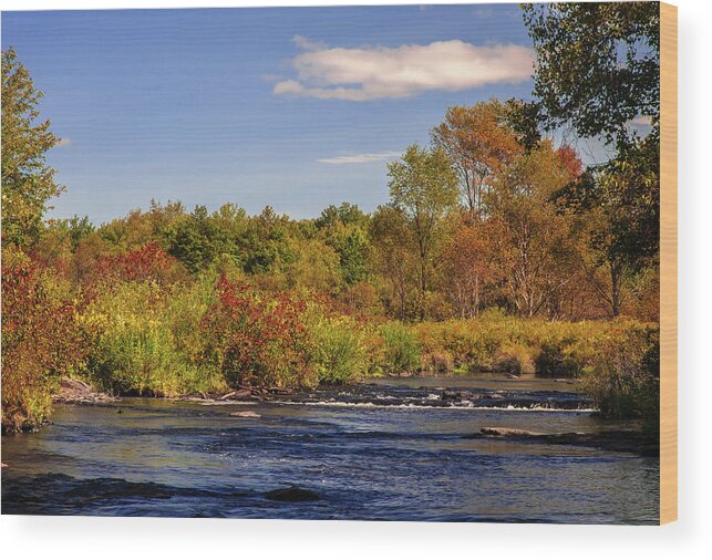 Allegheny Mountains Wood Print featuring the photograph Tobyhanna Creek by Michael Gadomski