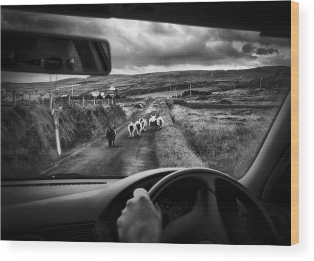 Mood Wood Print featuring the photograph Traffic Jam In Ireland by Richard Bires