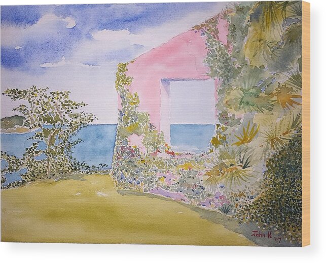Watercolor Wood Print featuring the painting Tropical Lore by John Klobucher