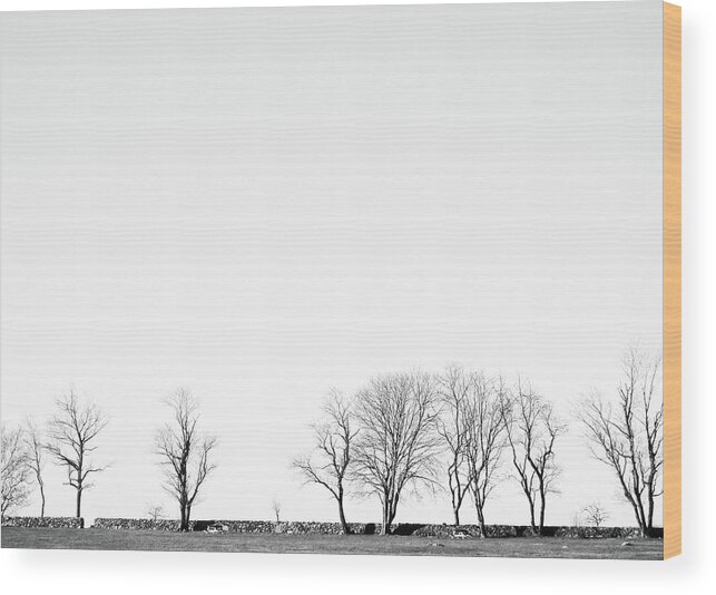 Trees Wood Print featuring the photograph Under a Winter Sky by Nancy De Flon