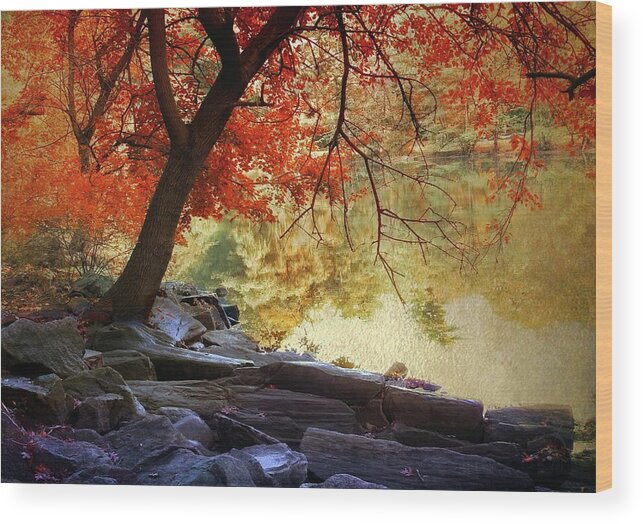 Autumn Wood Print featuring the photograph Under the Maple by Jessica Jenney