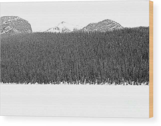 Lake Louise Wood Print featuring the photograph Walking on Water, Lake Louise by Darcy Dietrich