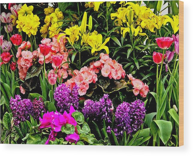 Flowers Wood Print featuring the photograph We Are All Here For You by Allen Nice-Webb