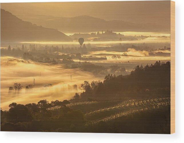 Napa Wood Print featuring the photograph What You Will See From A Hot Air Balloon by Dianne Mao