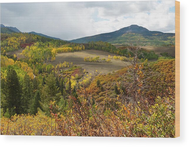 Wilson Mesa Wood Print featuring the photograph Wilson Mesa Autumn Landscape by Cascade Colors