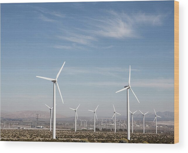 Environmental Conservation Wood Print featuring the photograph Wind Farm In The Dessert by Frank Rothe