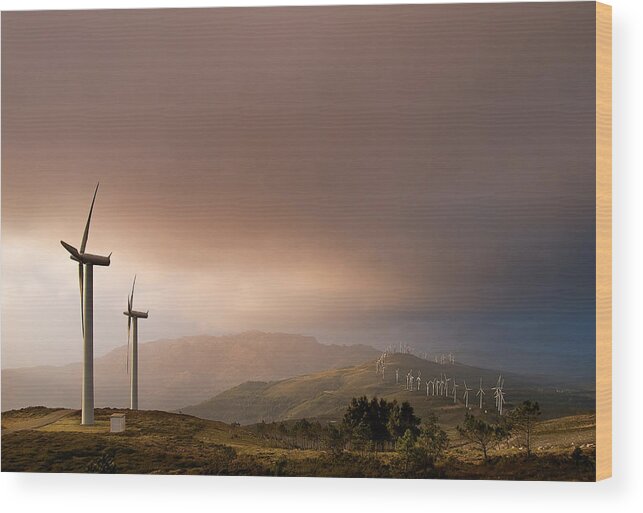 Environmental Conservation Wood Print featuring the photograph Windmills by Juan R. Fabeiro