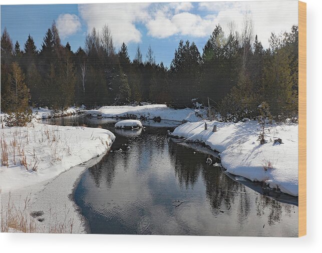 Three Springs Nature Preserve Wood Print featuring the photograph Winter Reflection at Three Springs by David T Wilkinson