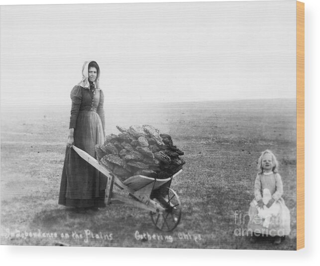 Child Wood Print featuring the photograph Woman And Daughter Gathering Buffalo by Bettmann