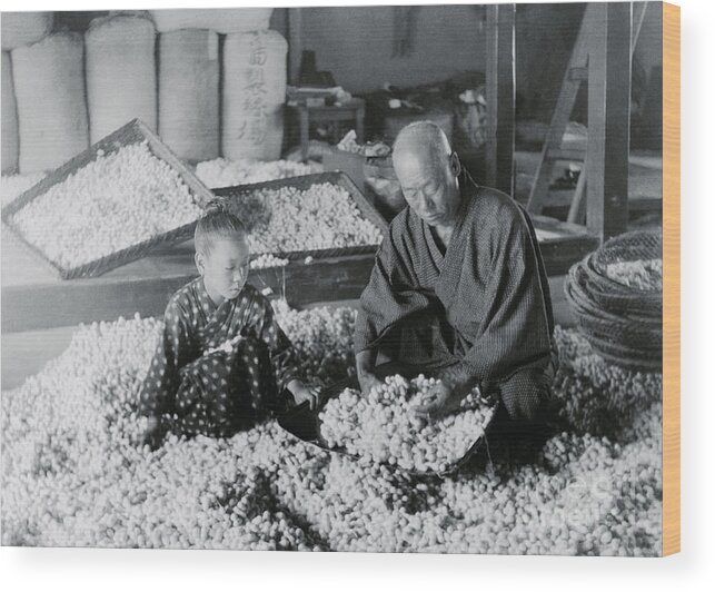 Child Wood Print featuring the photograph Workers Storing Silk Cocoons by Bettmann