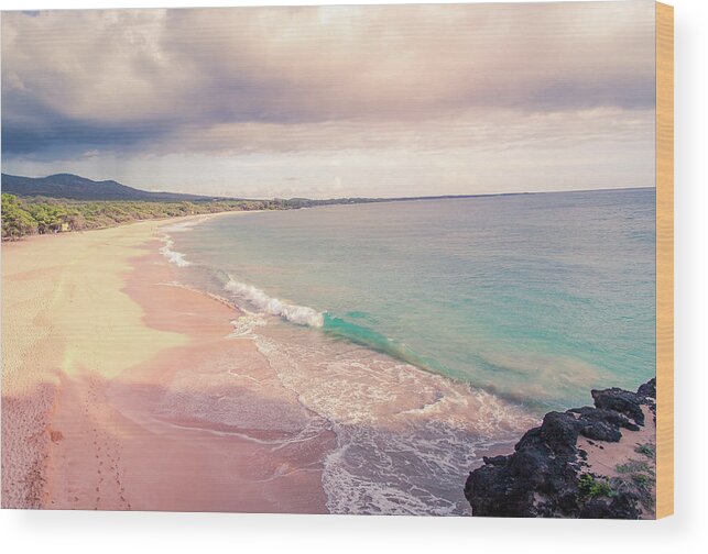 Big Beach View Wood Print featuring the photograph Big Beach Makena #1 by Chris Spencer