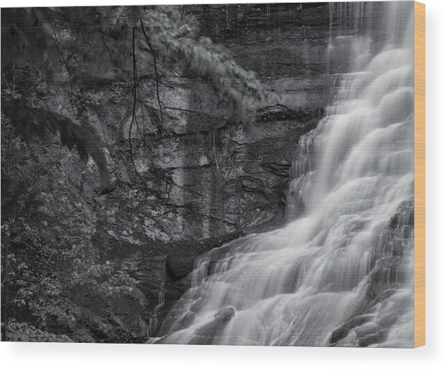  Wood Print featuring the photograph Chittenango Falls by Brad Nellis