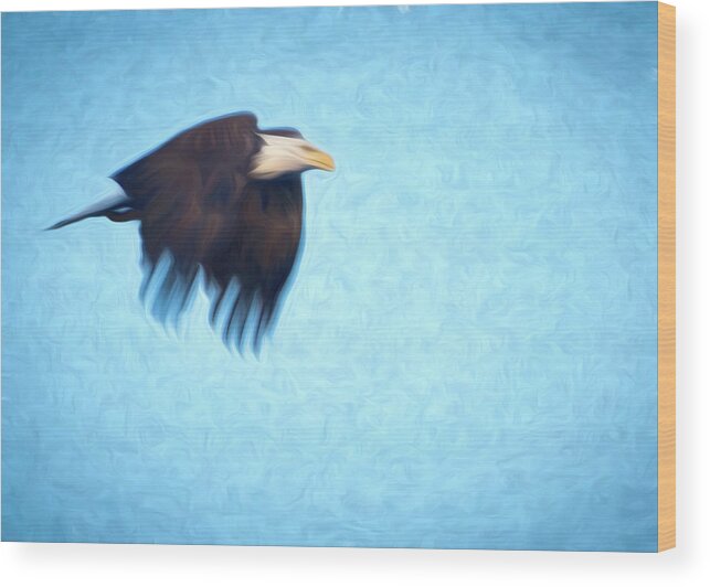 Digital Art Wood Print featuring the photograph Eagle in flight #1 by Jim Pearson