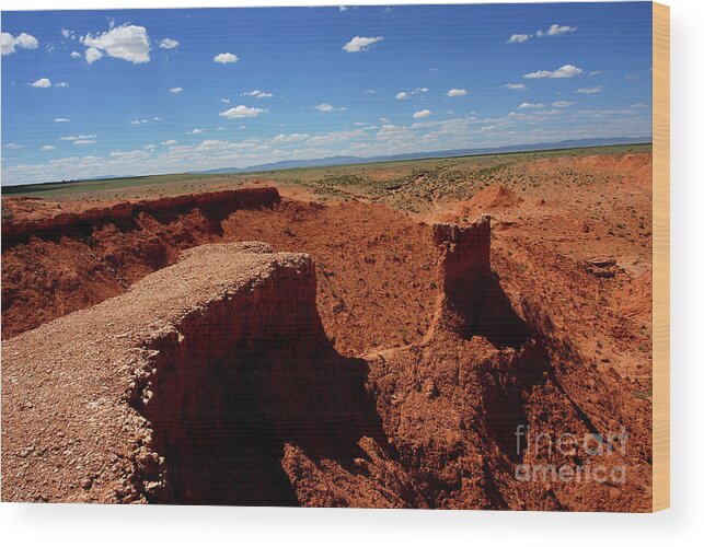 Gobi Desert Wood Print featuring the photograph Gobi desert #1 by Elbegzaya Lkhagvasuren