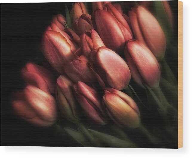 Tulips Wood Print featuring the photograph Incandescence by Jessica Jenney