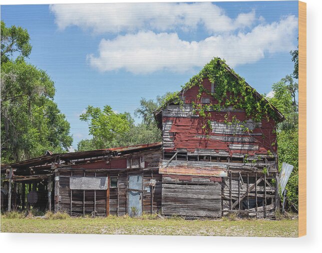 Barn Wood Print featuring the photograph Old Florida Barn #1 by Dart Humeston