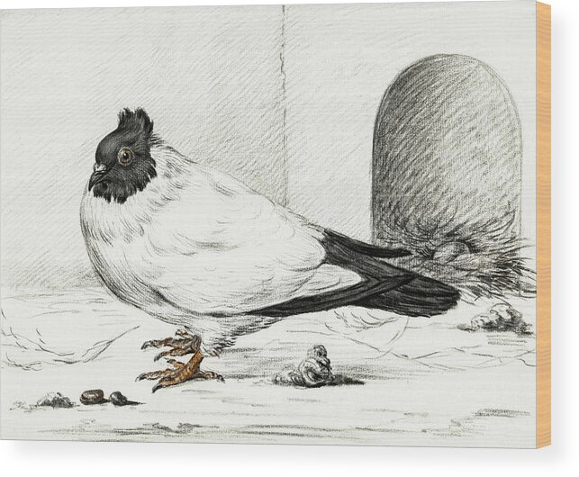 Animal Wood Print featuring the painting Pigeon and a nest with an egg #1 by MotionAge Designs