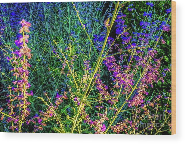 Wildflowers Wood Print featuring the photograph Wildflowers In Bloom #2 by D Davila